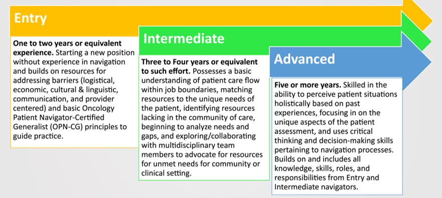 Image for Patient navigation job roles by levels of experience: Workforce Development Task Group, National Navigation Roundtable
